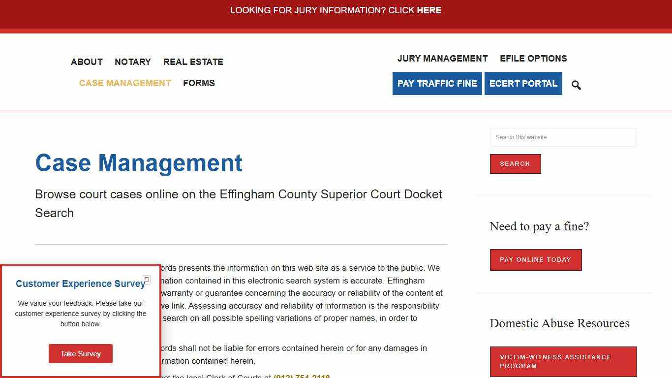 Case Management Clerk of the Court Effingham County, Ga