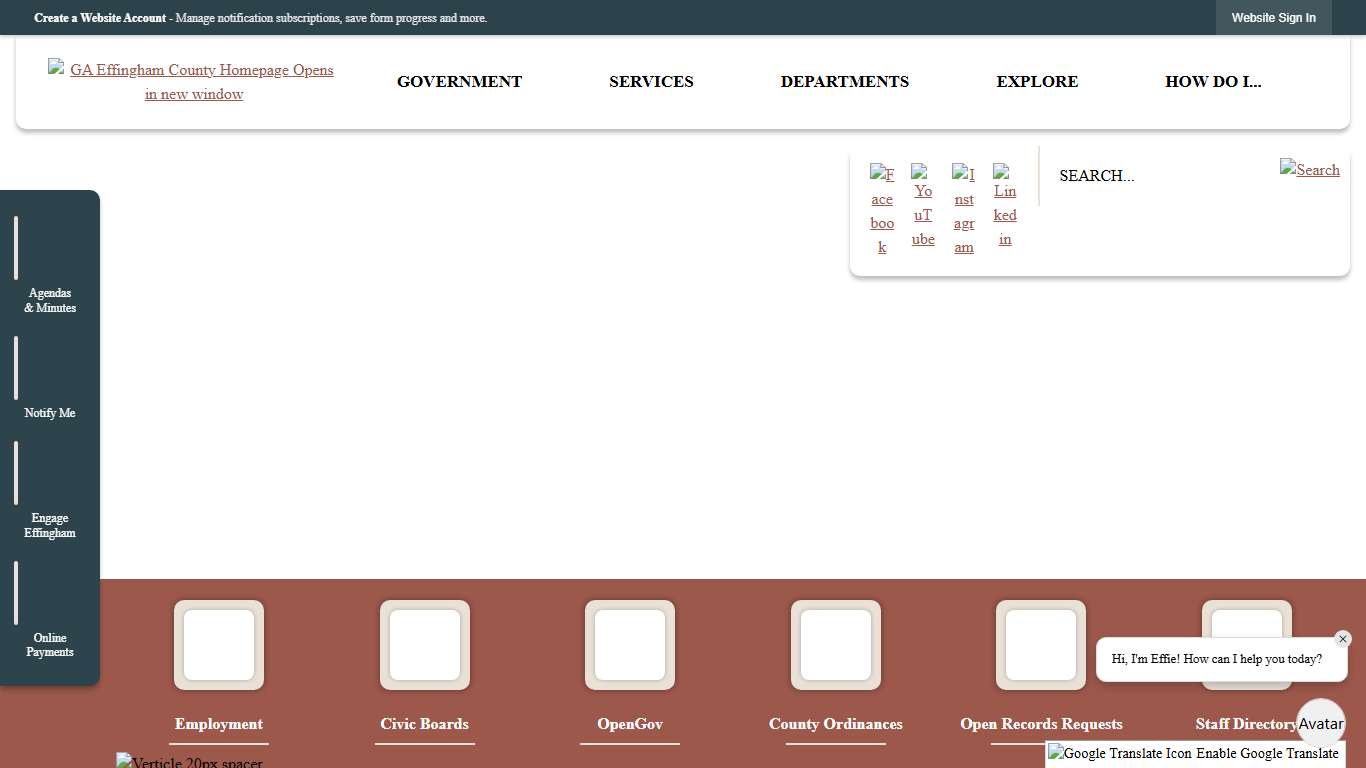 Effingham County, GA Official Website